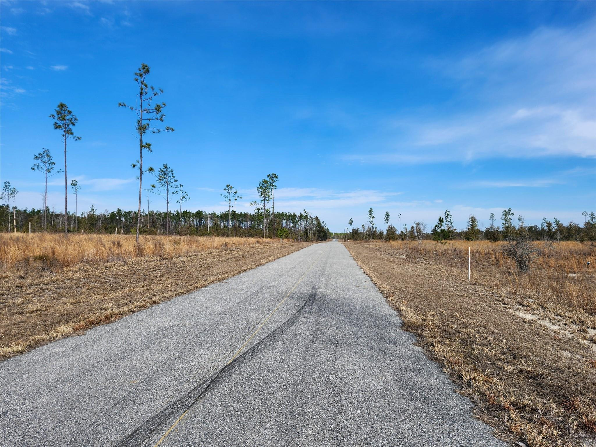 Lot 50 Fl-50 Property Photo 5