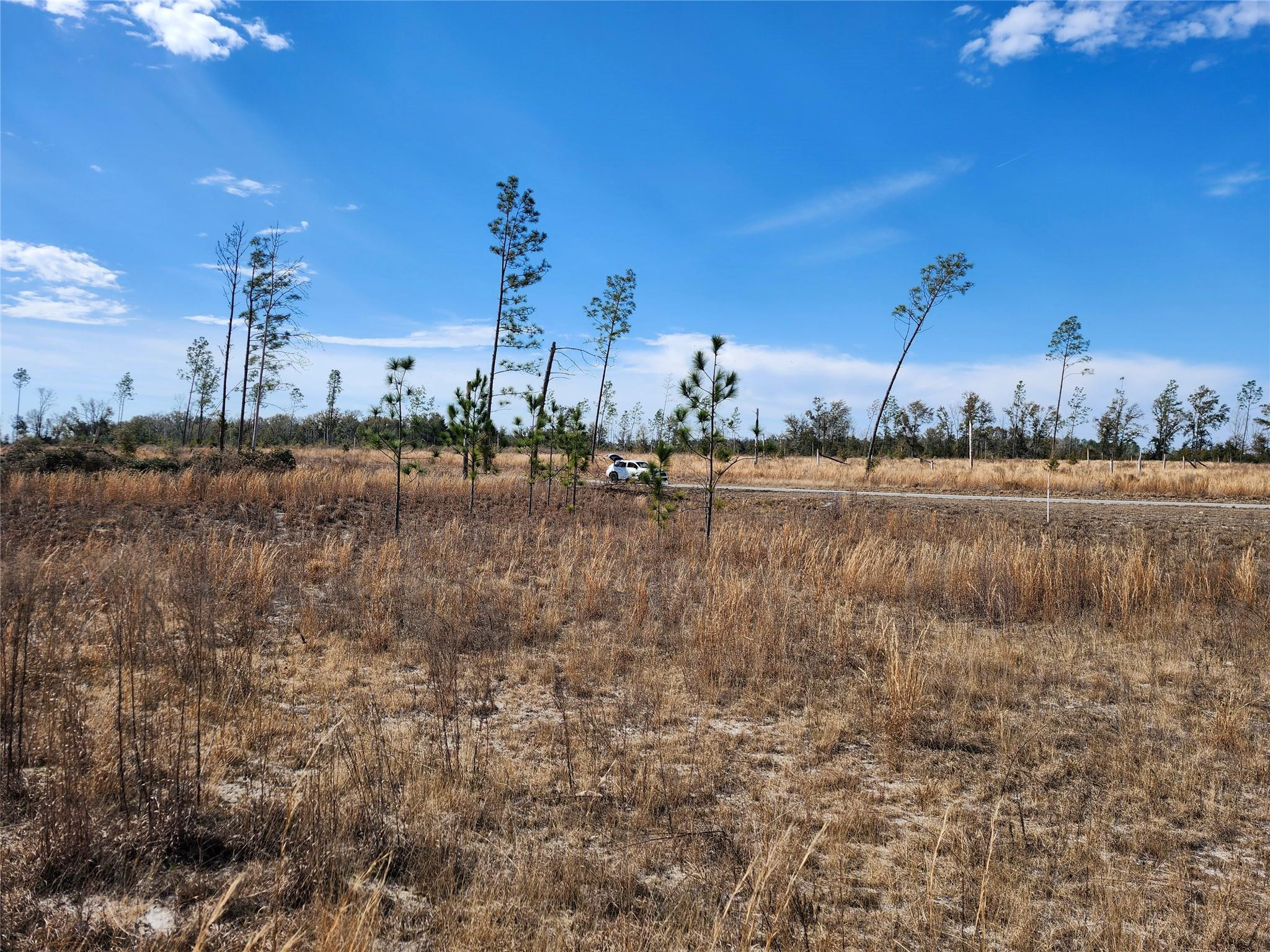 Lot 50 Fl-50 Property Photo 7