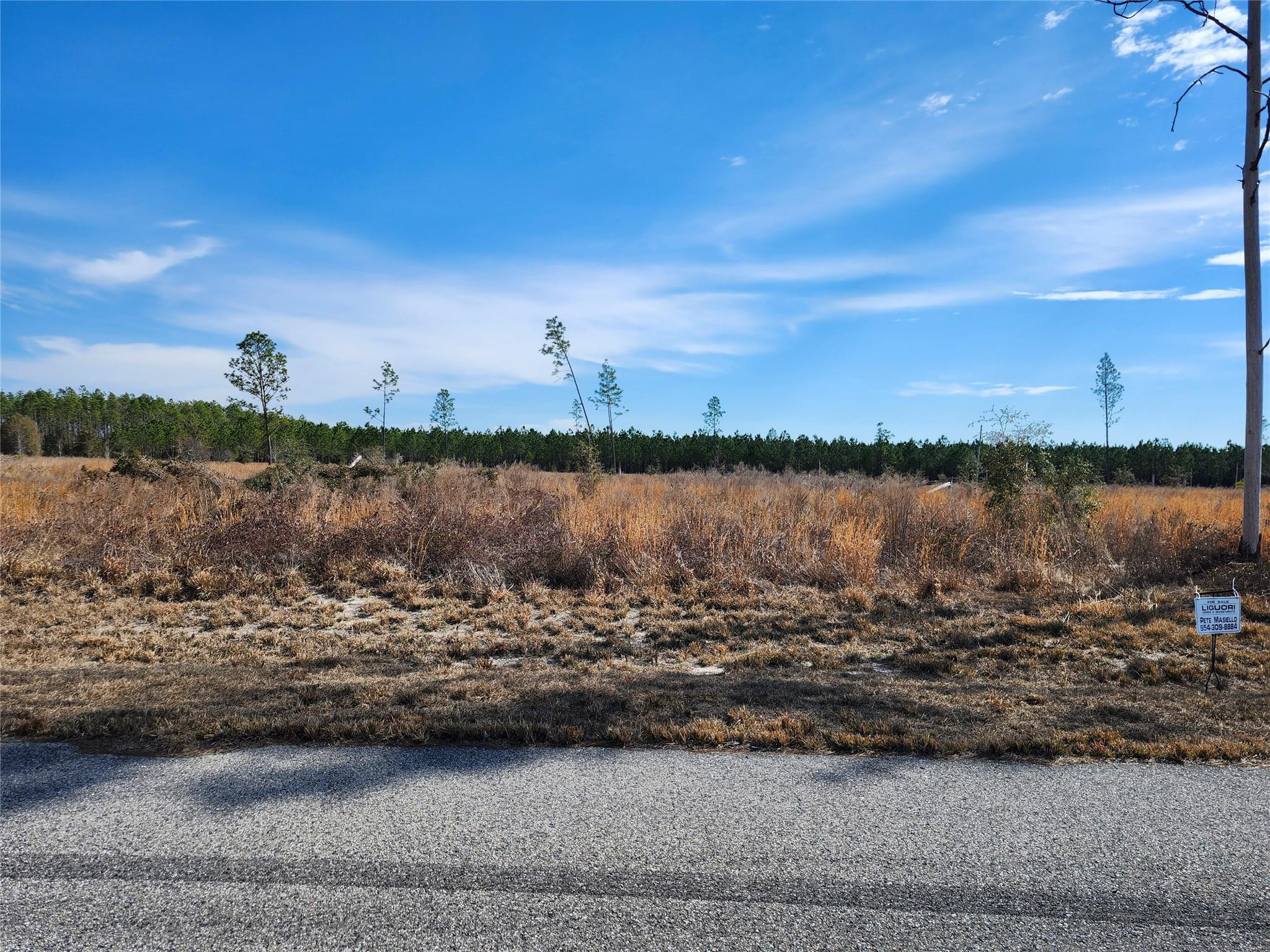 Lot 50 Fl-50 Property Photo 8
