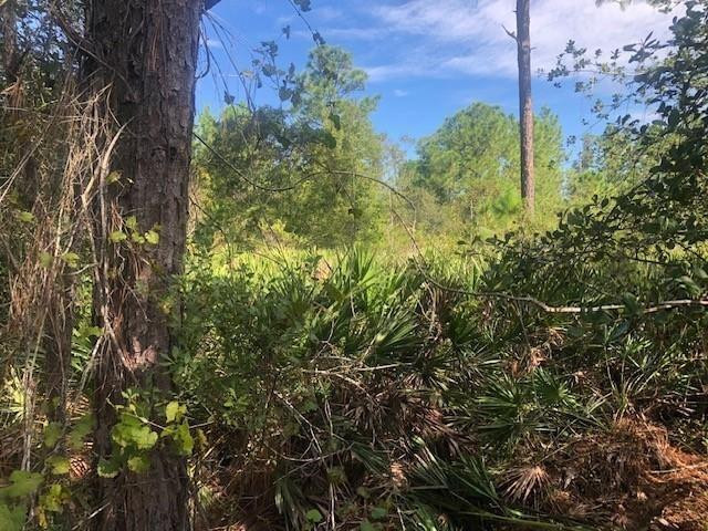 0 Old Grade Road Property Photo 1