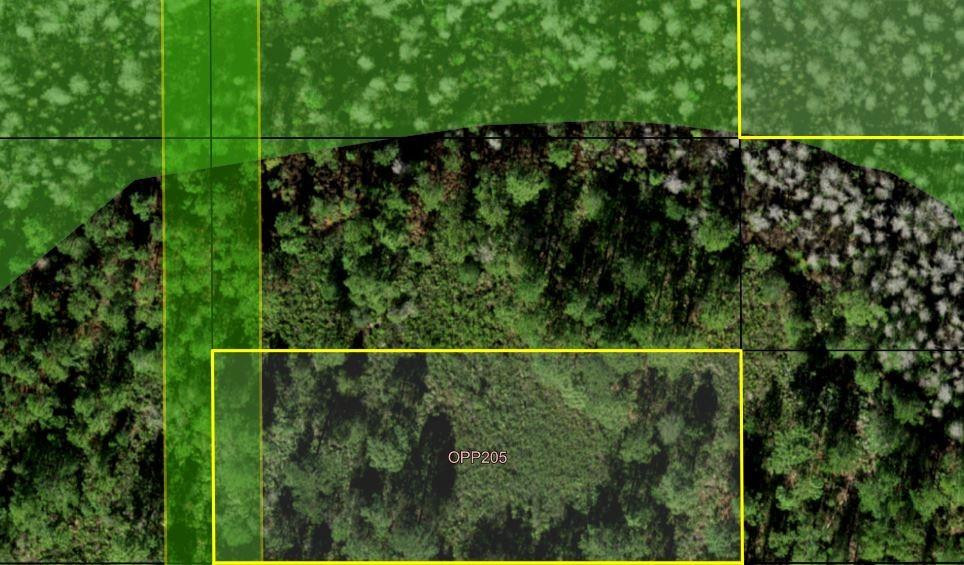 0 Old Grade Road Property Photo 2