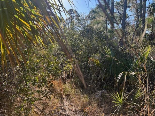42260 93rd Avenue Property Photo 2