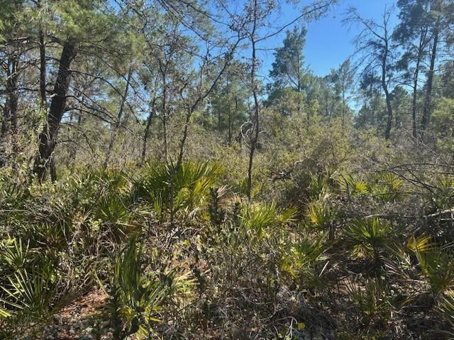 10681 Interlacher Drive Property Photo 1