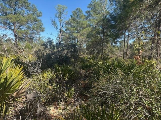 10681 Interlacher Drive Property Photo 2