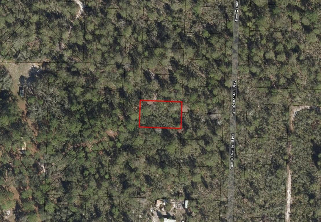 10681 Interlacher Drive Property Photo 3