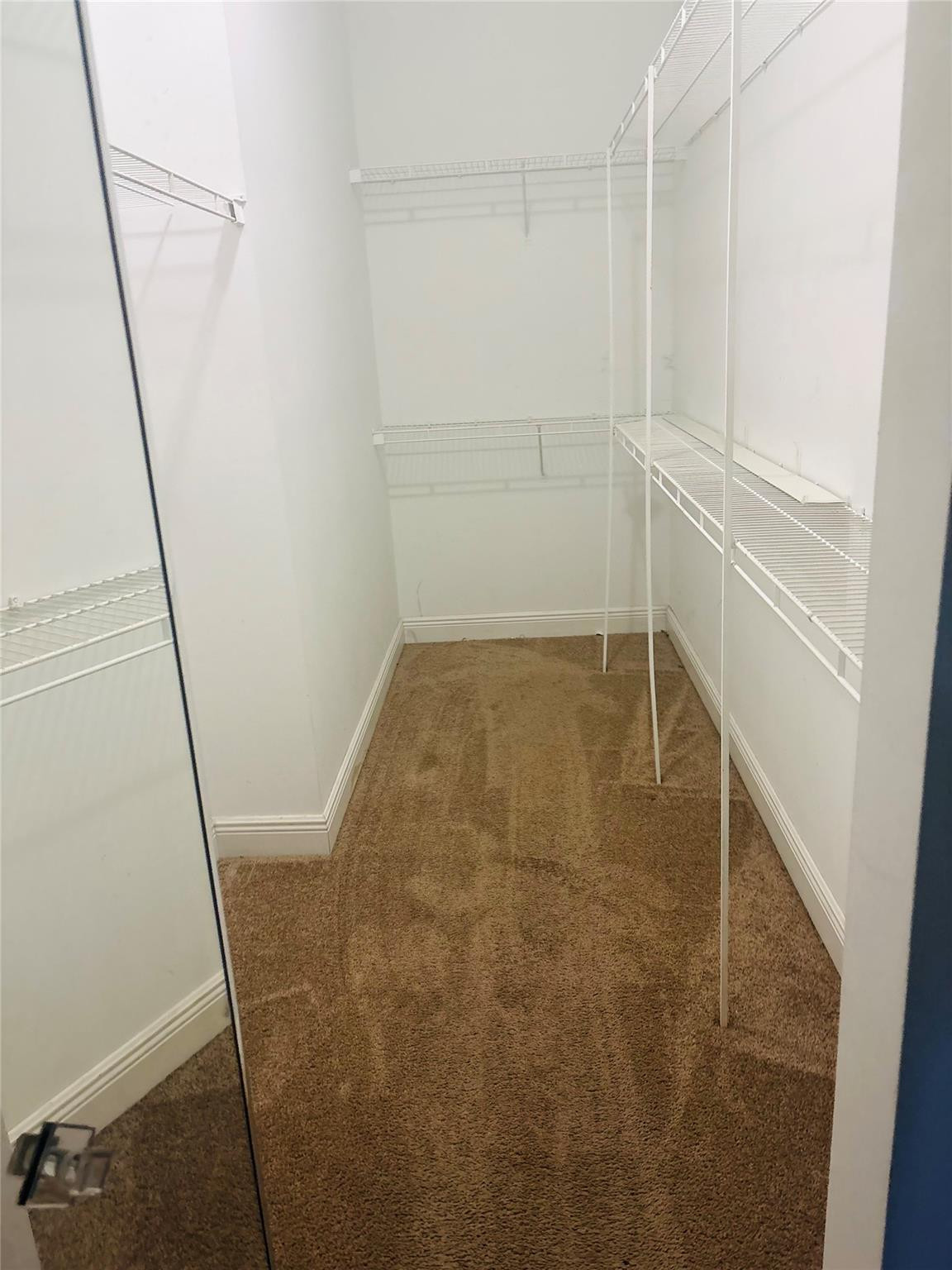 244 Caribe Court Property Photo 15