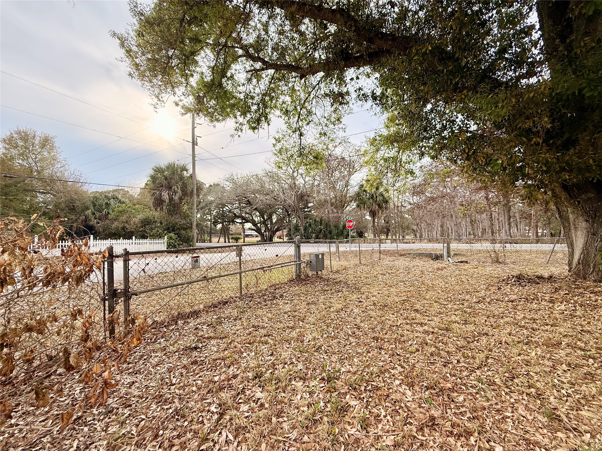 9135 59th Property Photo 8