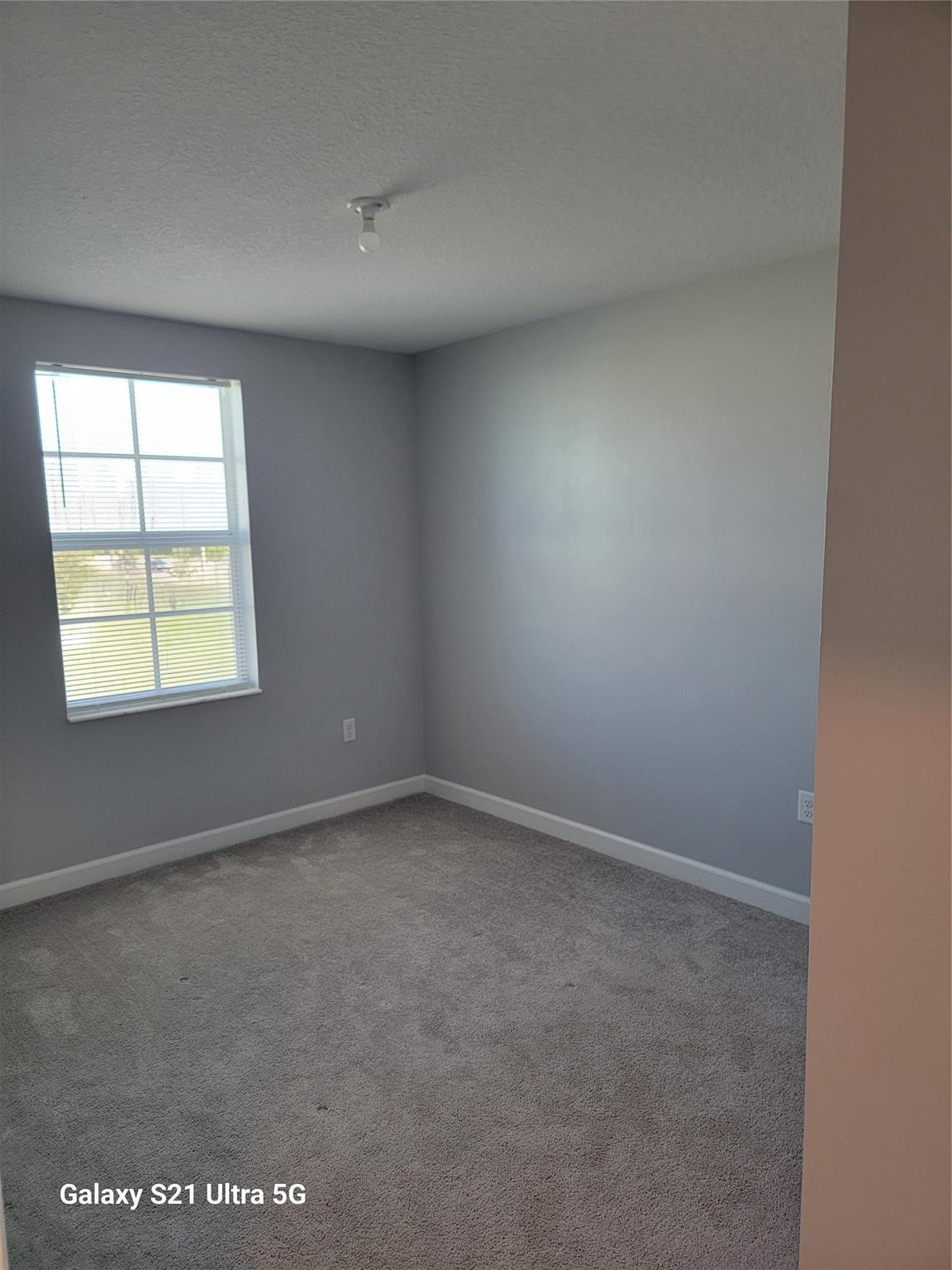 4518 Dow Lane Property Photo 11