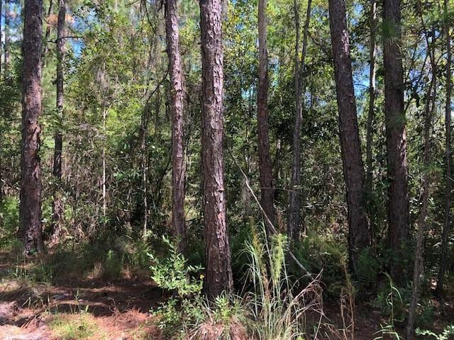 0 Old Grade Road Property Photo 2