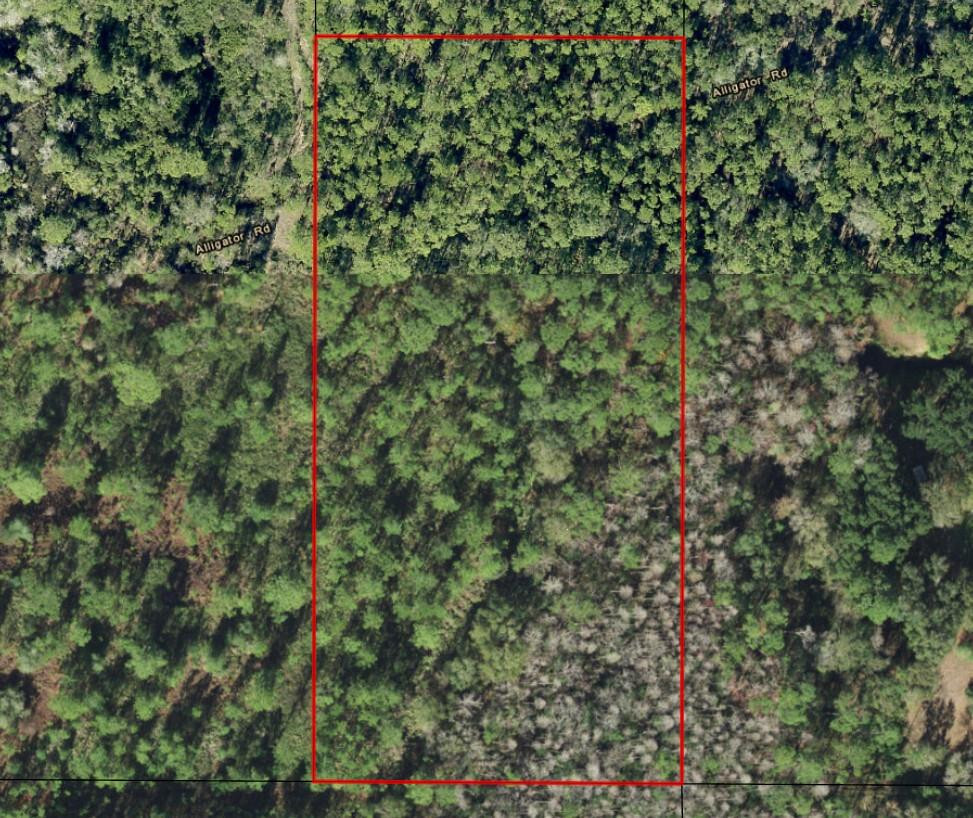 0 Alligator Road Property Photo 2