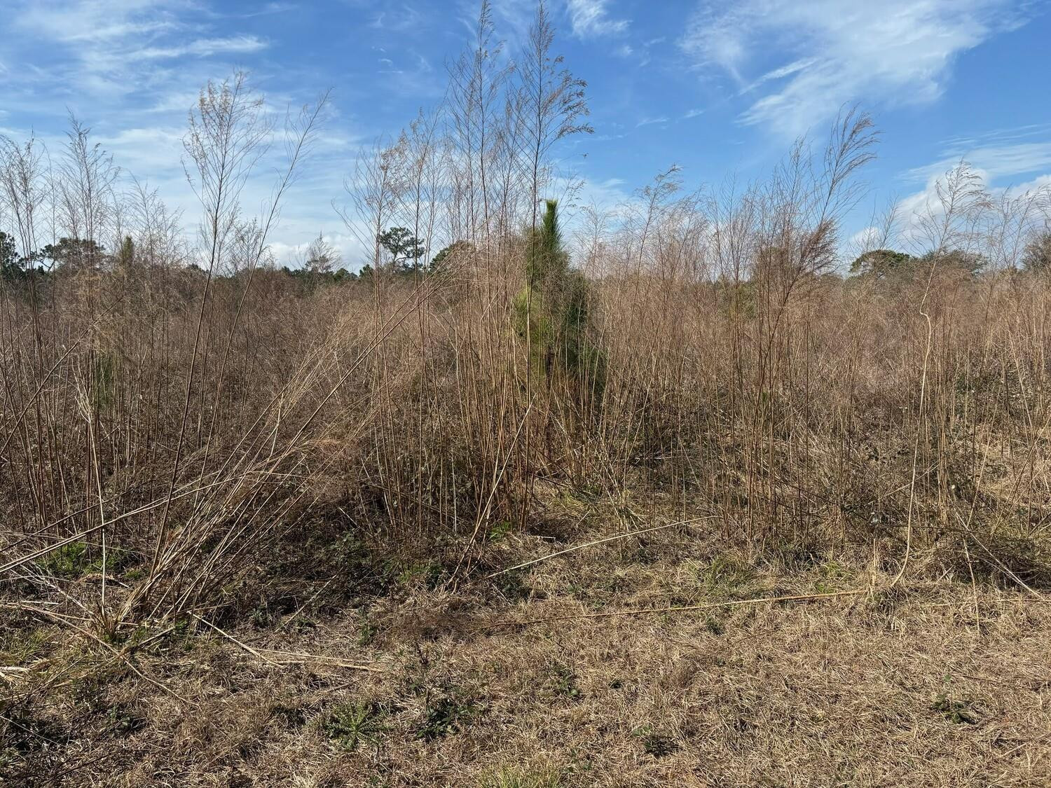 0 Old Grade Road Property Photo 2