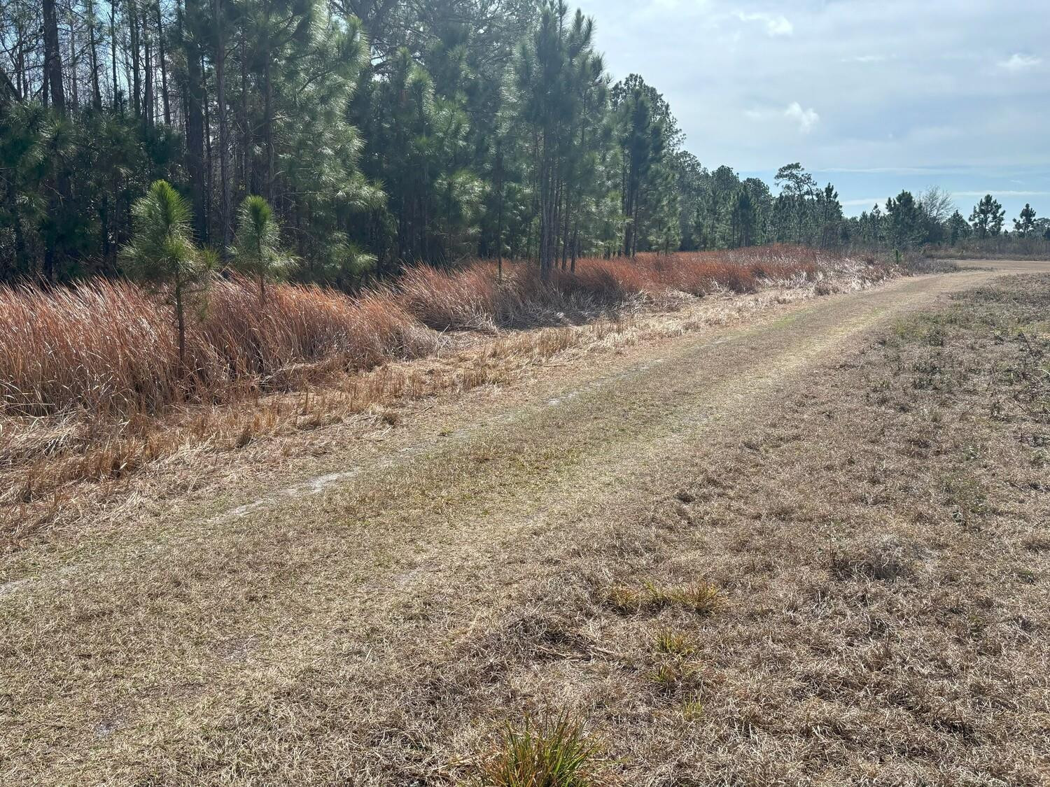 0 Old Grade Road Property Photo 4