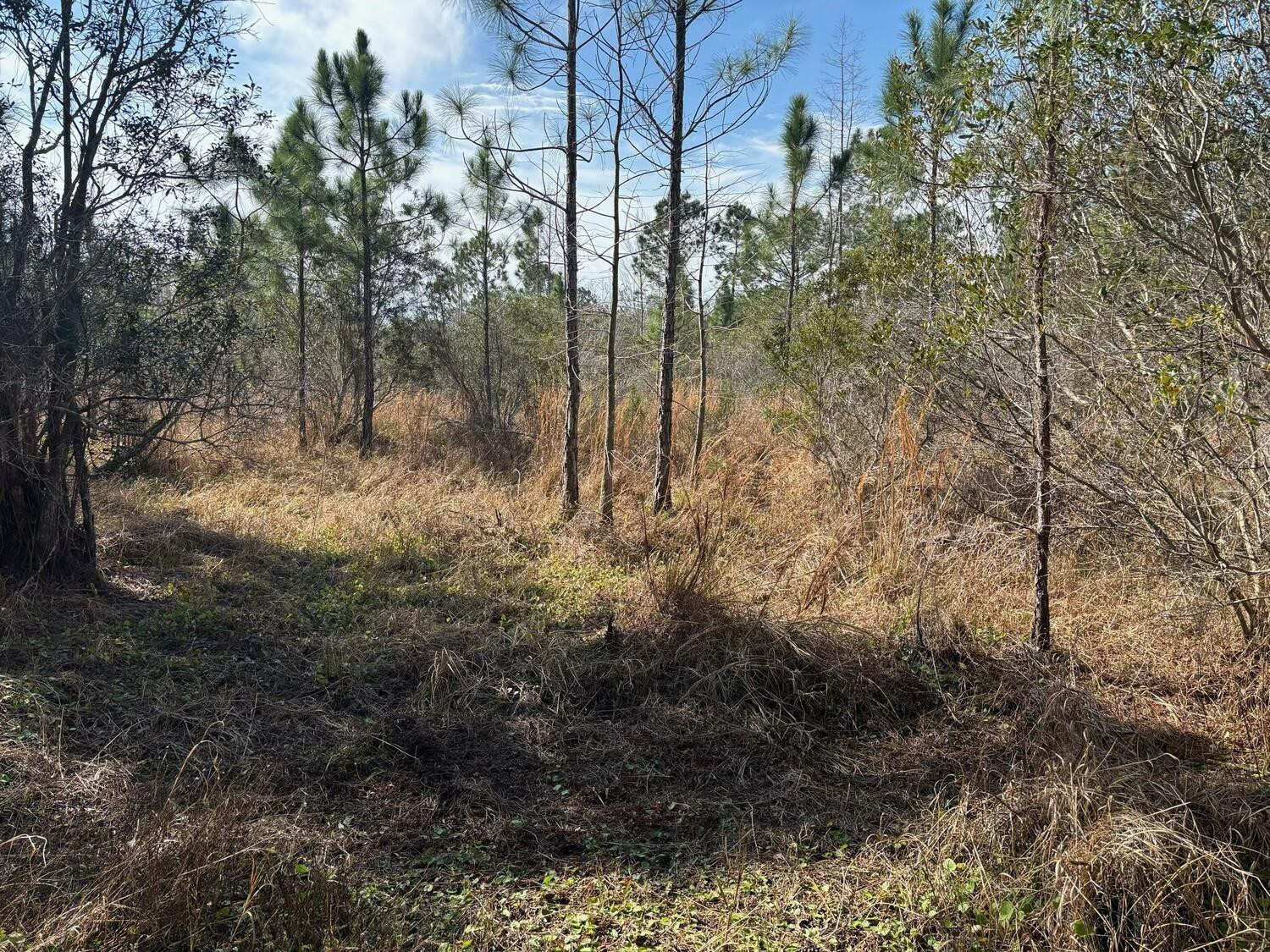 0 Old Grade Road Property Photo 2