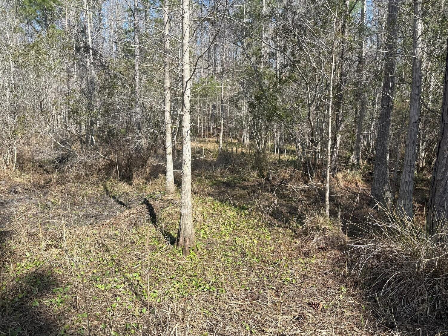 0 Old Grade Road Property Photo 3