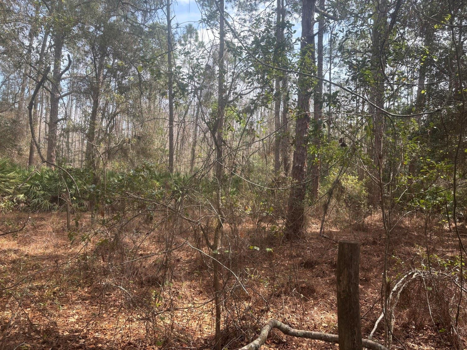 0 Old Grade Road Property Photo 1