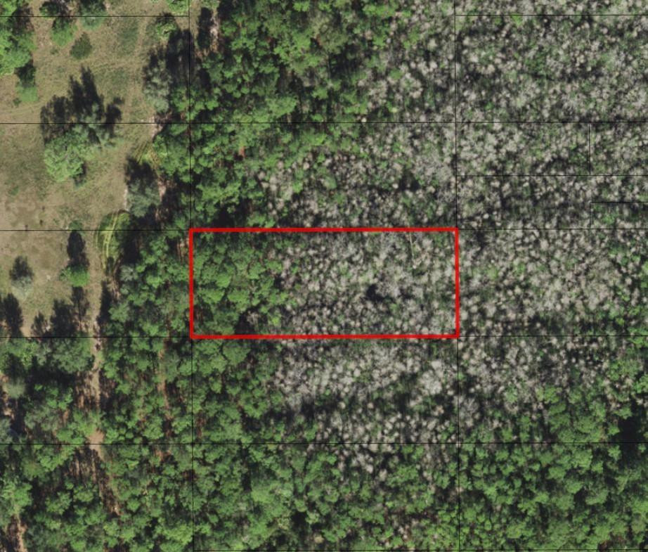 0 Old Grade Road Property Photo 2
