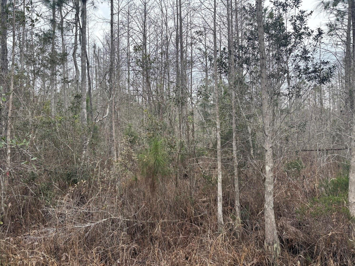 0 Old Grade Road Property Photo 1