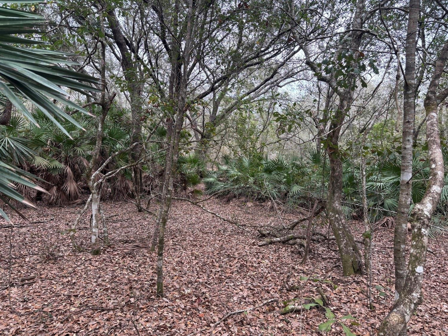 0 Old Grade Road Property Photo 1