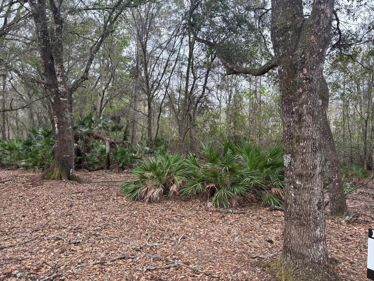 0 Old Grade Road Property Photo 2