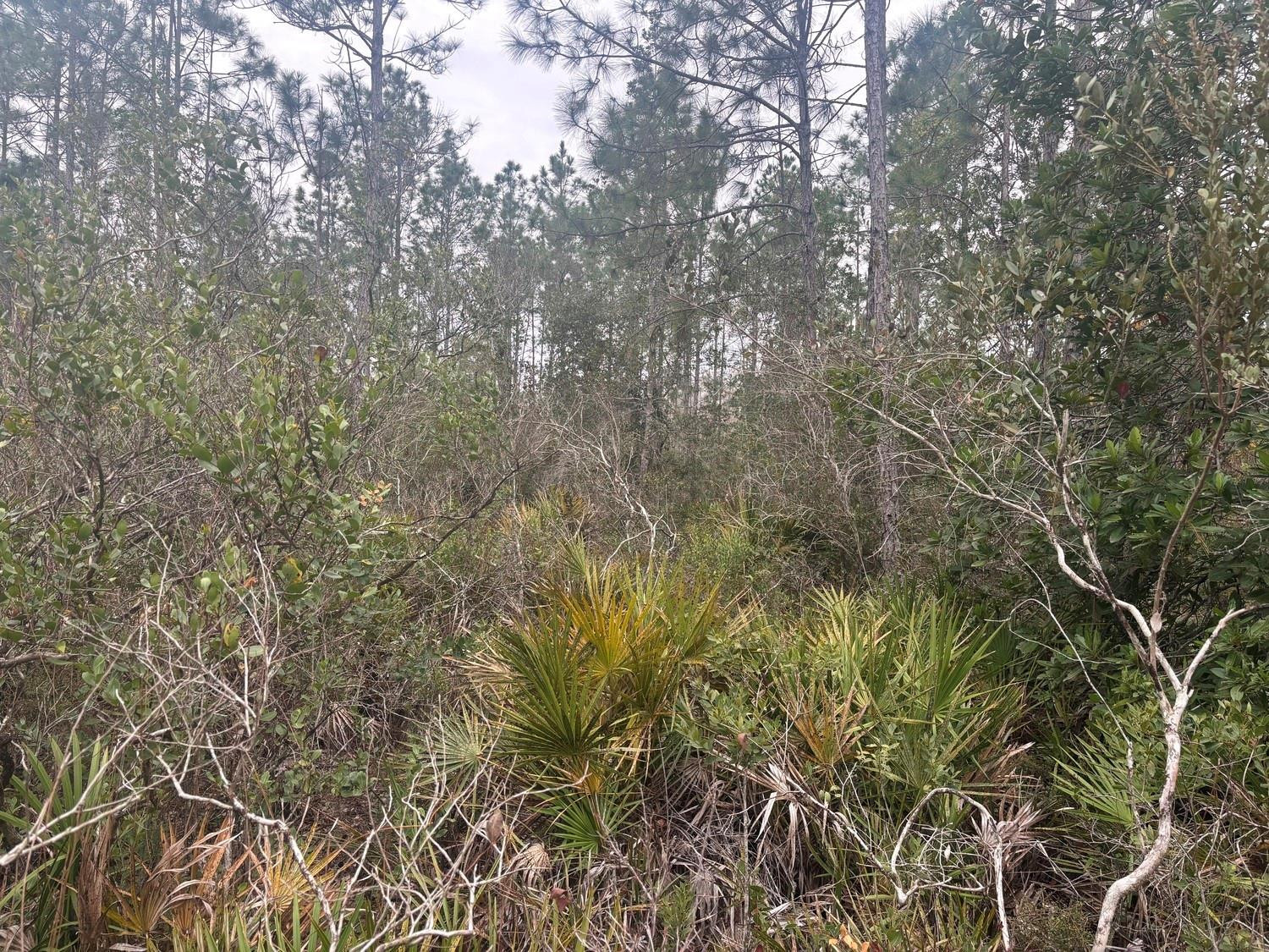 0 Old Grade Road Property Photo 1