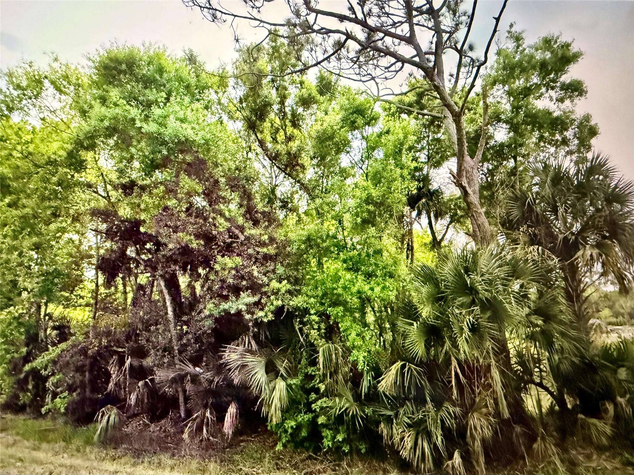 2551 Nw 35th Drive Property Photo 2