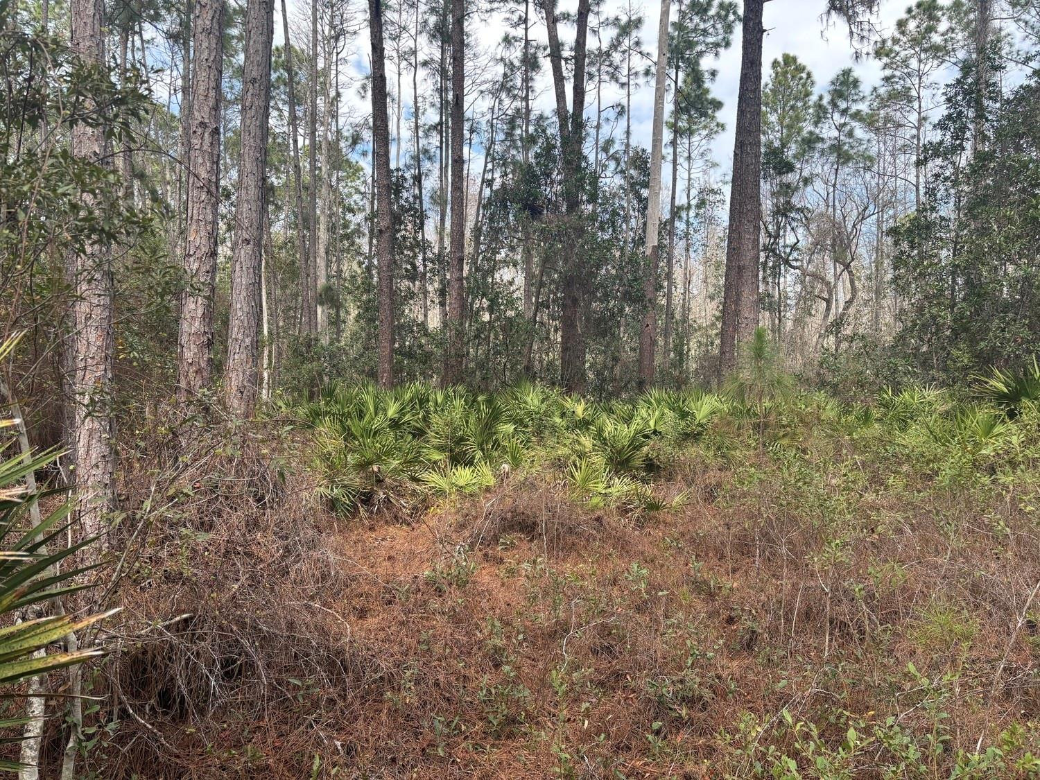 0 Old Grade Road Property Photo 1