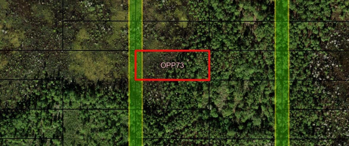 0 Old Grade Road Property Photo 1