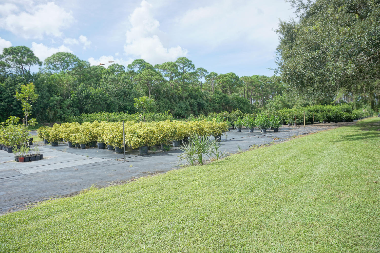 2800 Sw Boat Ramp Avenue Property Photo 26