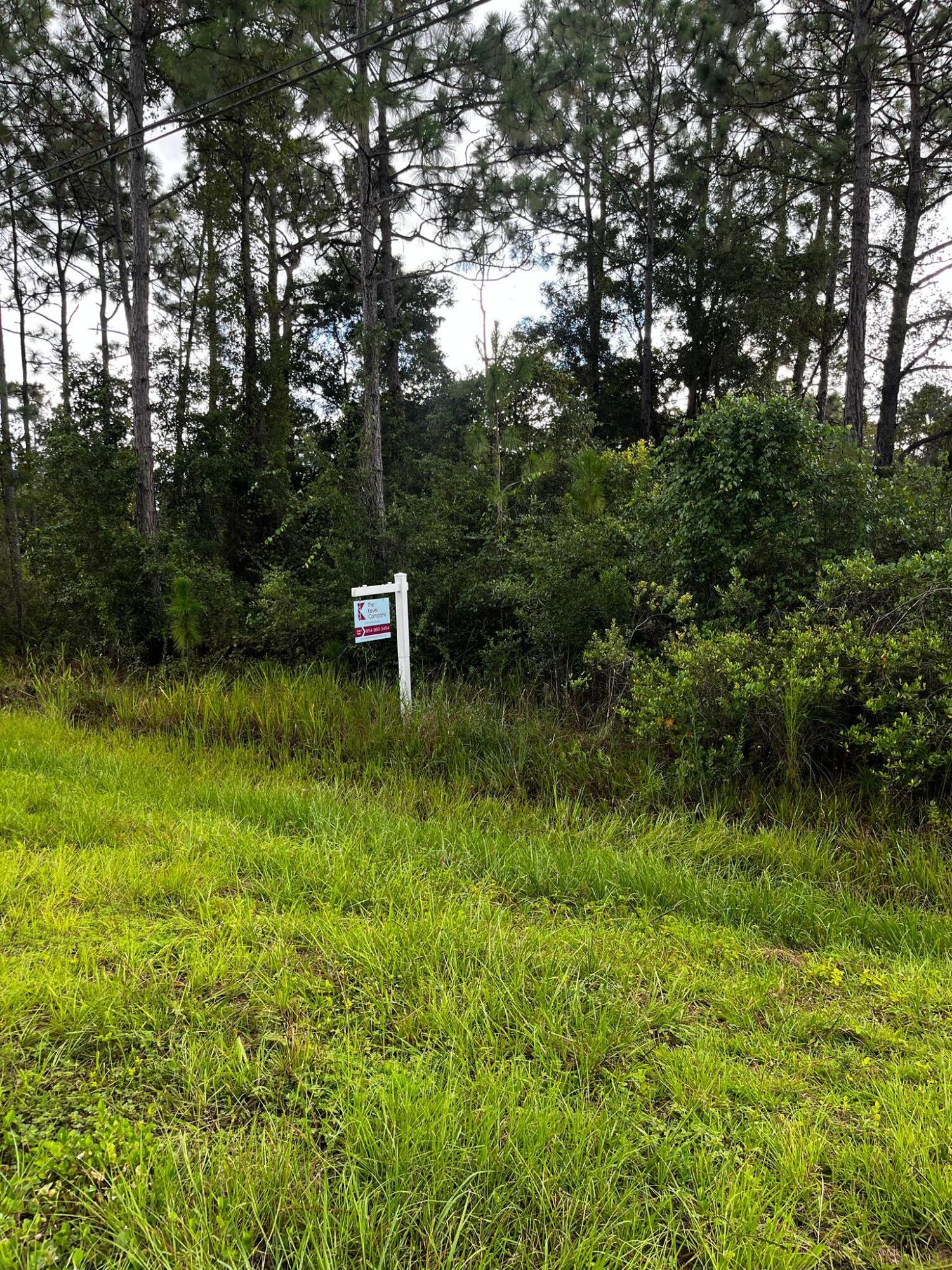 0 Sabal Street Property Photo 1