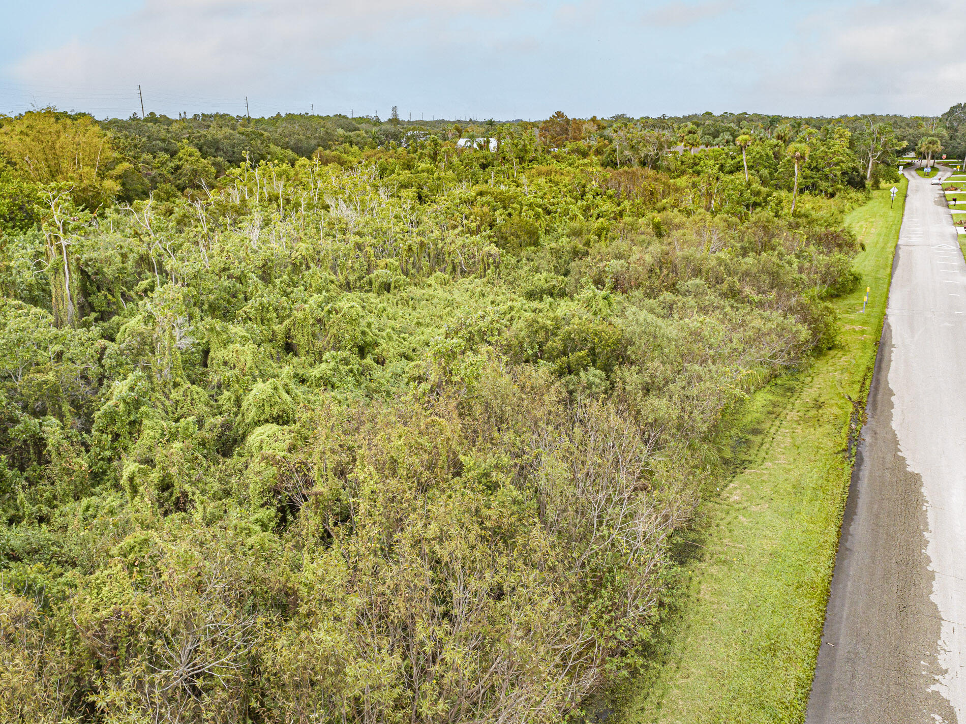 0 Milton Rd & River Woods Drive Property Photo 8