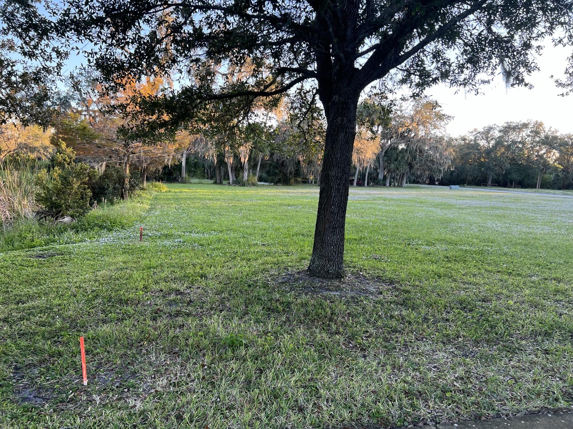 11324 Ganesh Way Property Photo 7