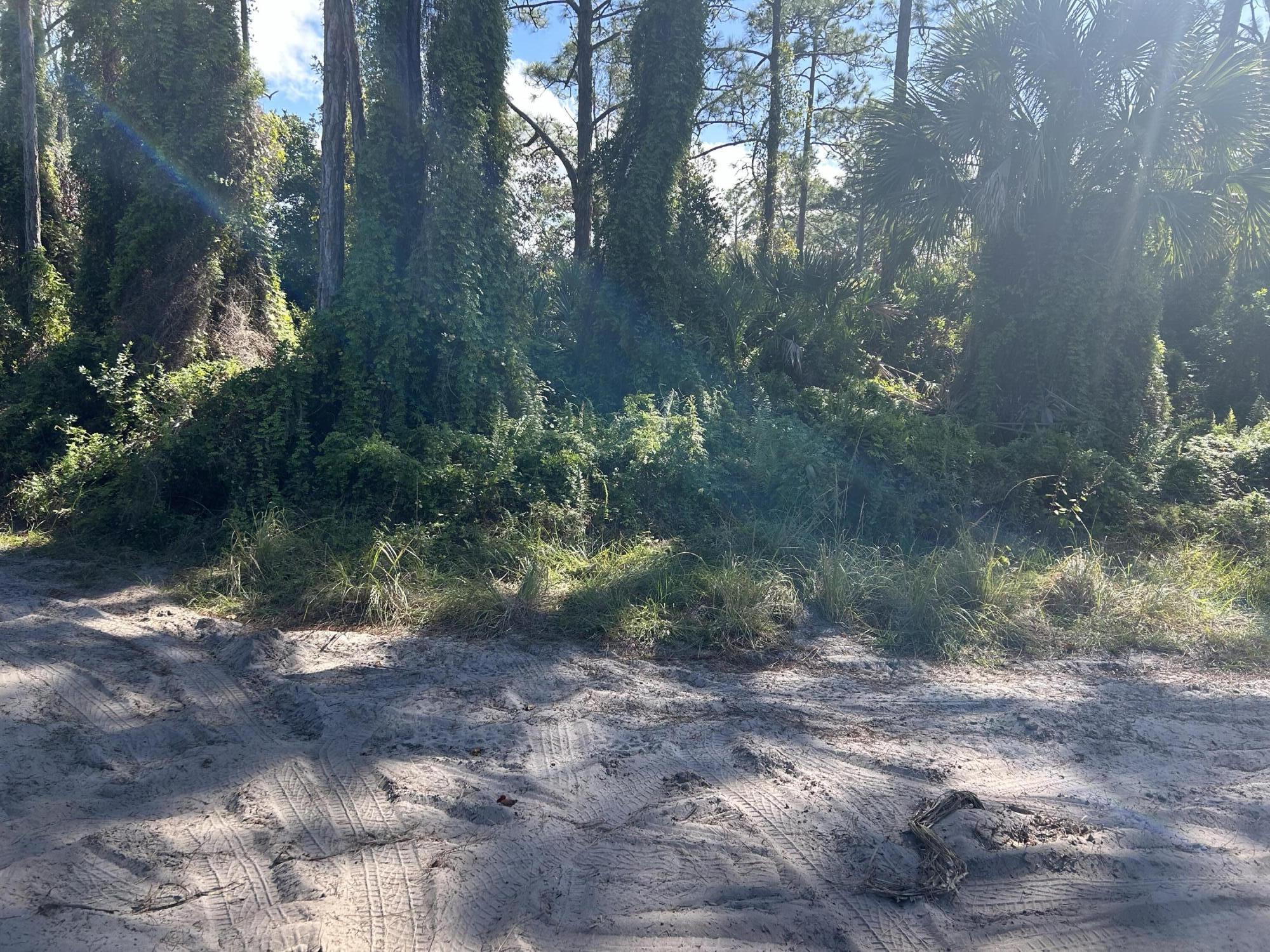 0 Slash Pine Trail Property Photo 1