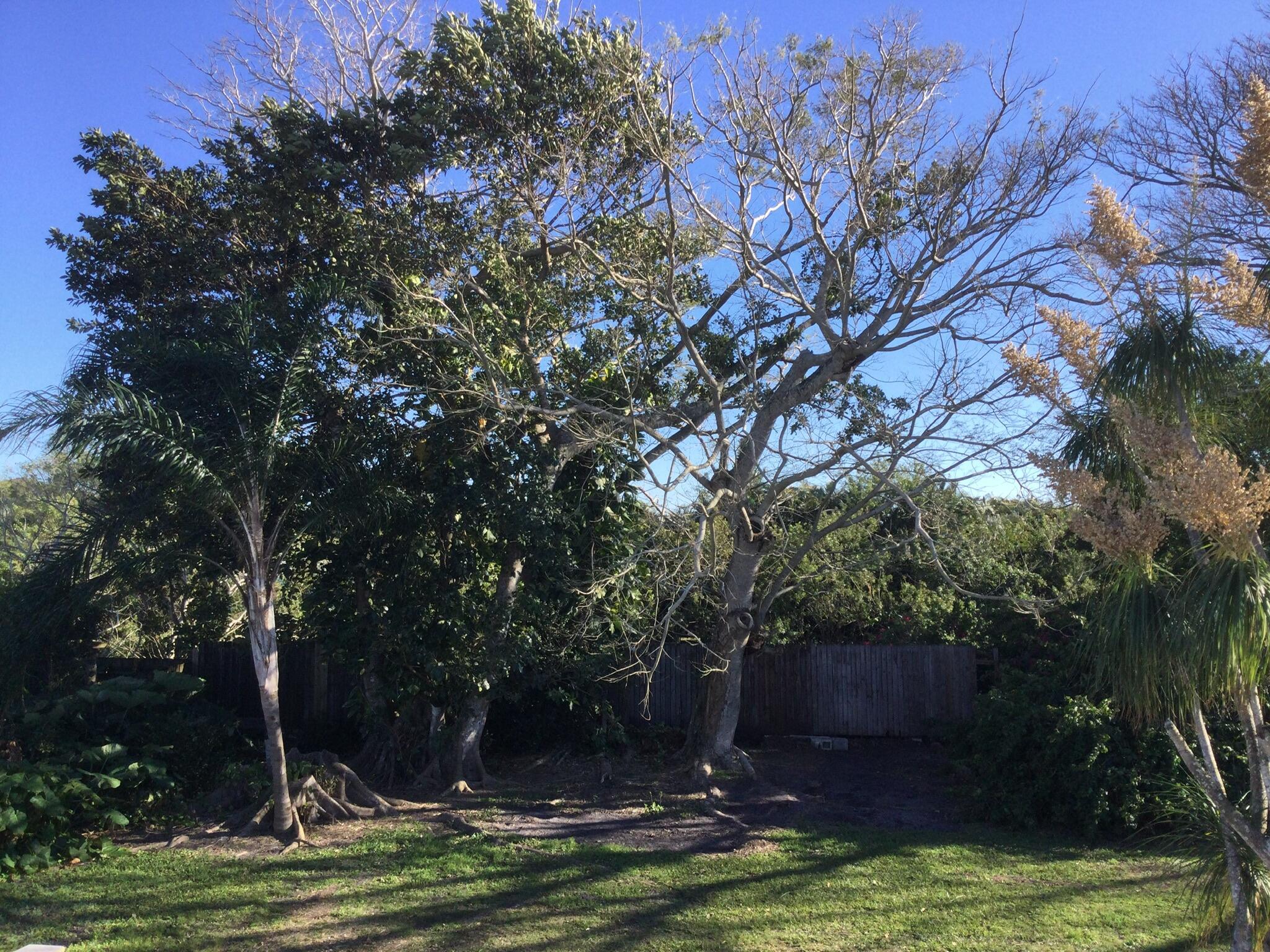 100 Se Naranja Avenue Property Photo 45