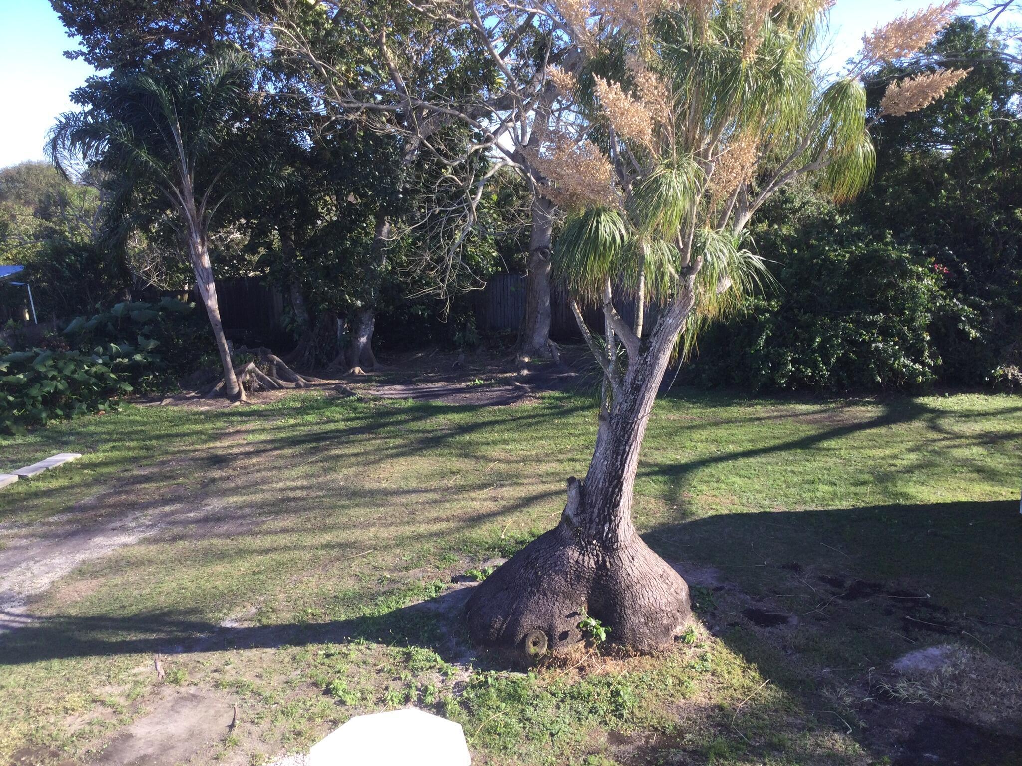 100 Se Naranja Avenue Property Photo 50