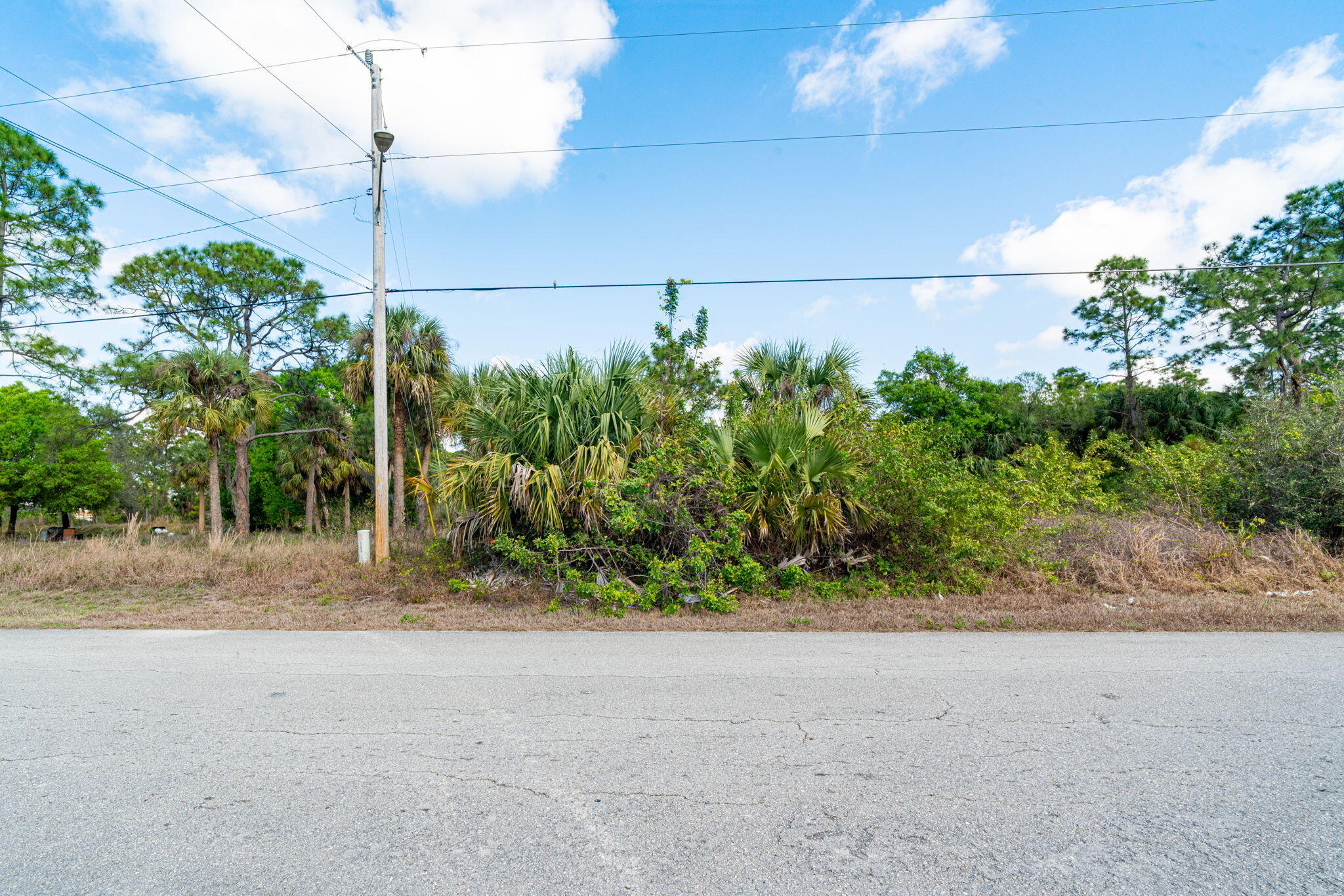 773 Cadis Street E Property Photo 6