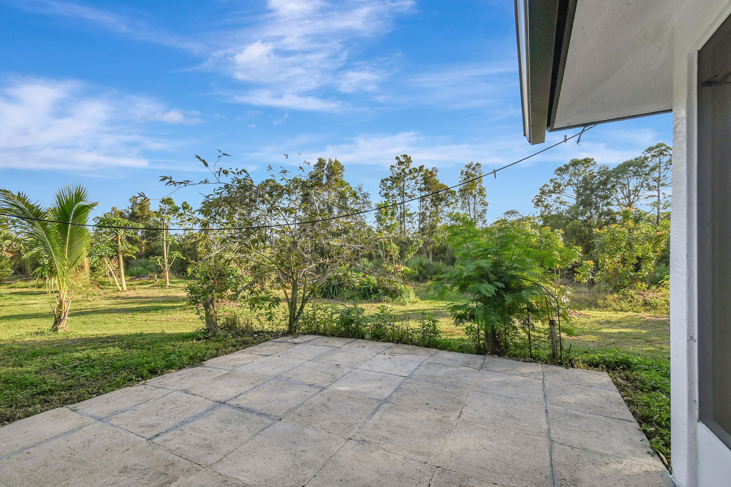 3446 Cabbage Palm Way Property Photo 32