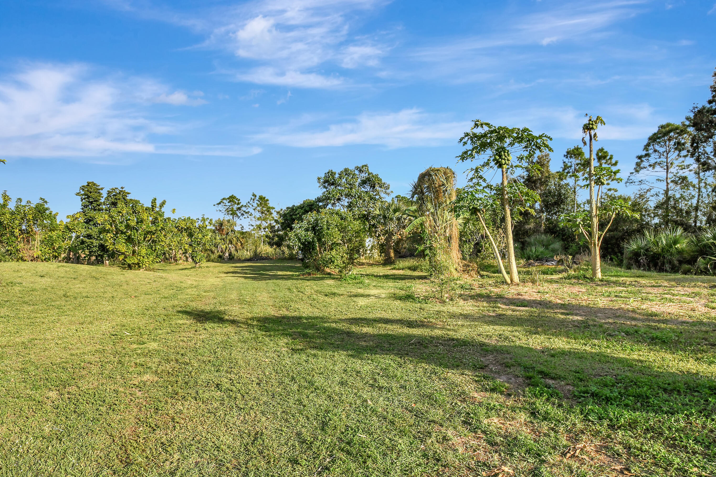 3446 Cabbage Palm Way Property Photo 43