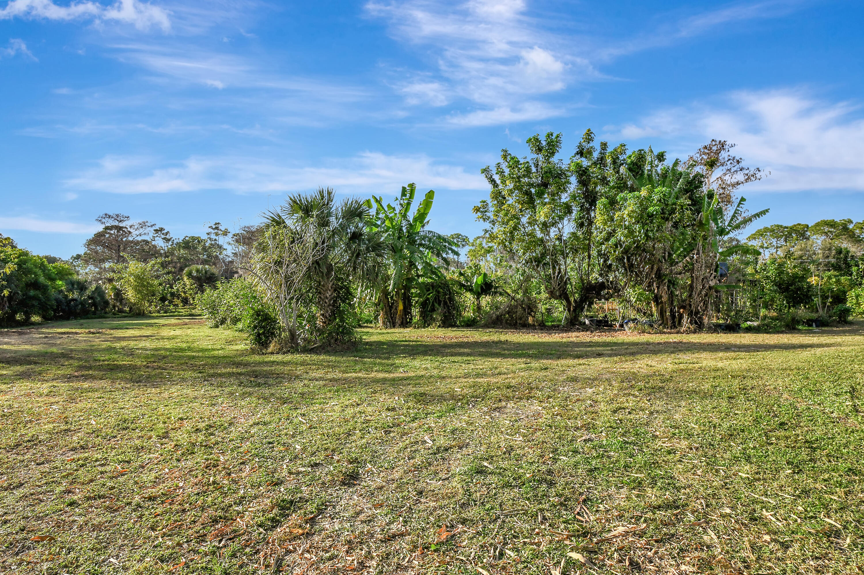 3446 Cabbage Palm Way Property Photo 46