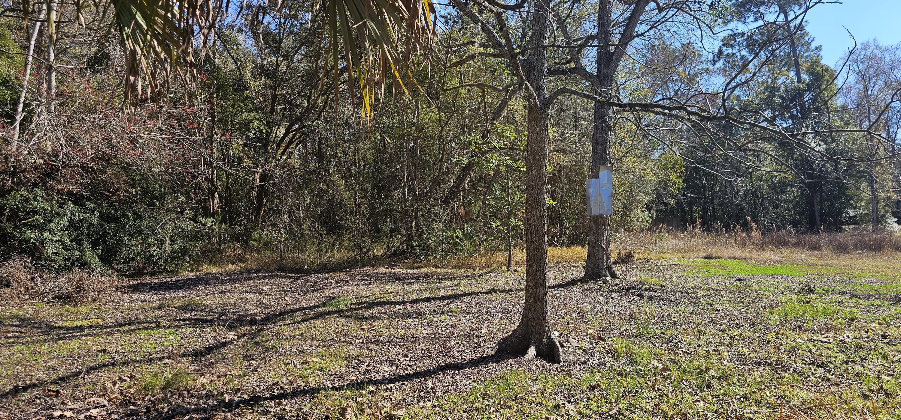 5676 Soutel Drive Property Photo 13
