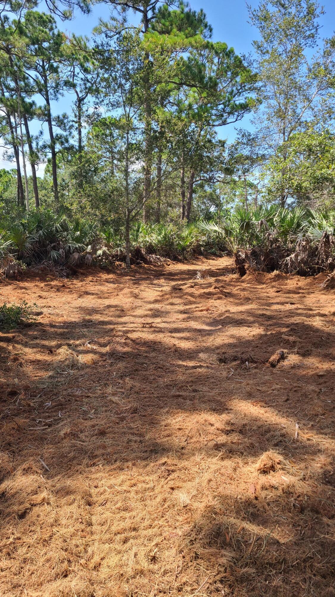 5375 69th Street Property Photo 3
