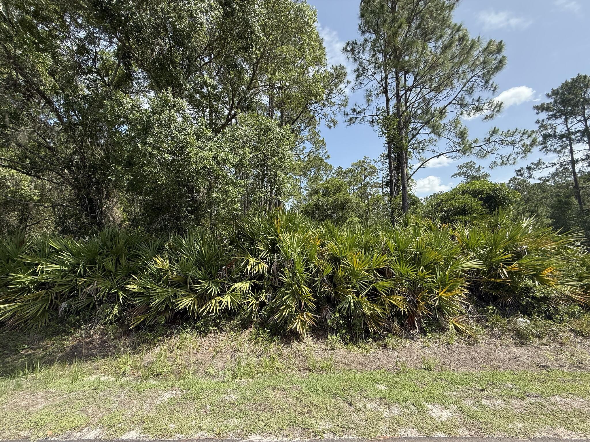 174 Millican Road Property Photo 4