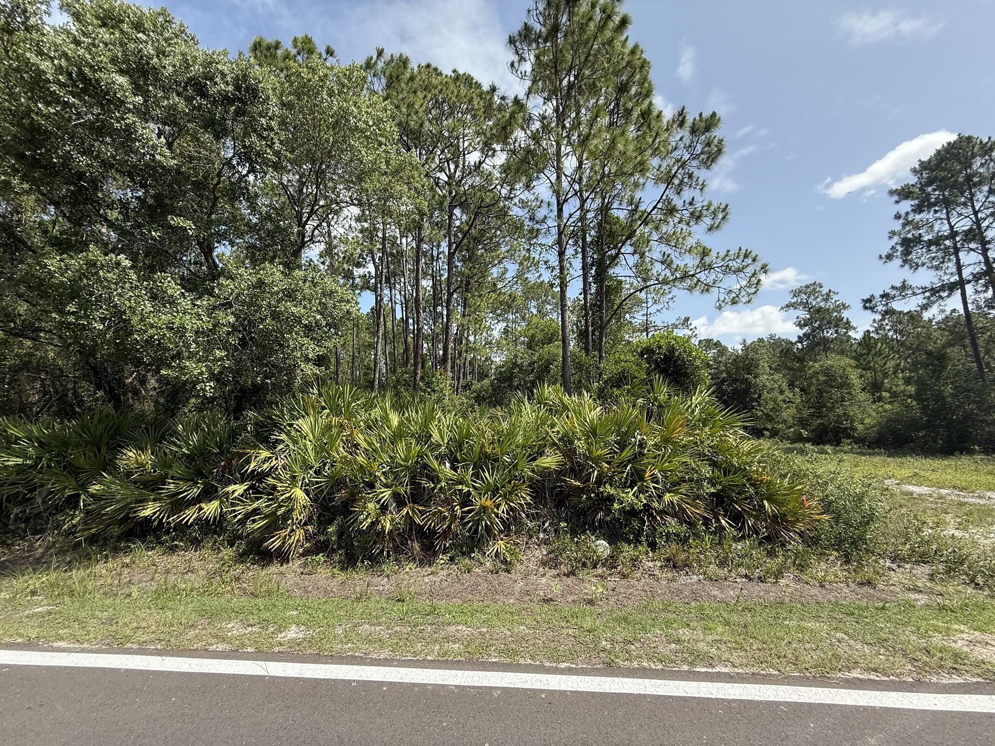 174 Millican Road Property Photo 6
