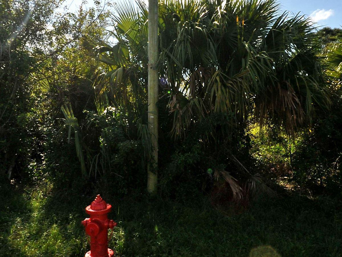 884 SW Mccoy Avenue Property Photo 1