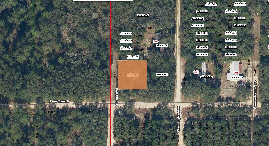 0000 Pine Tree Drive Property Photo 1