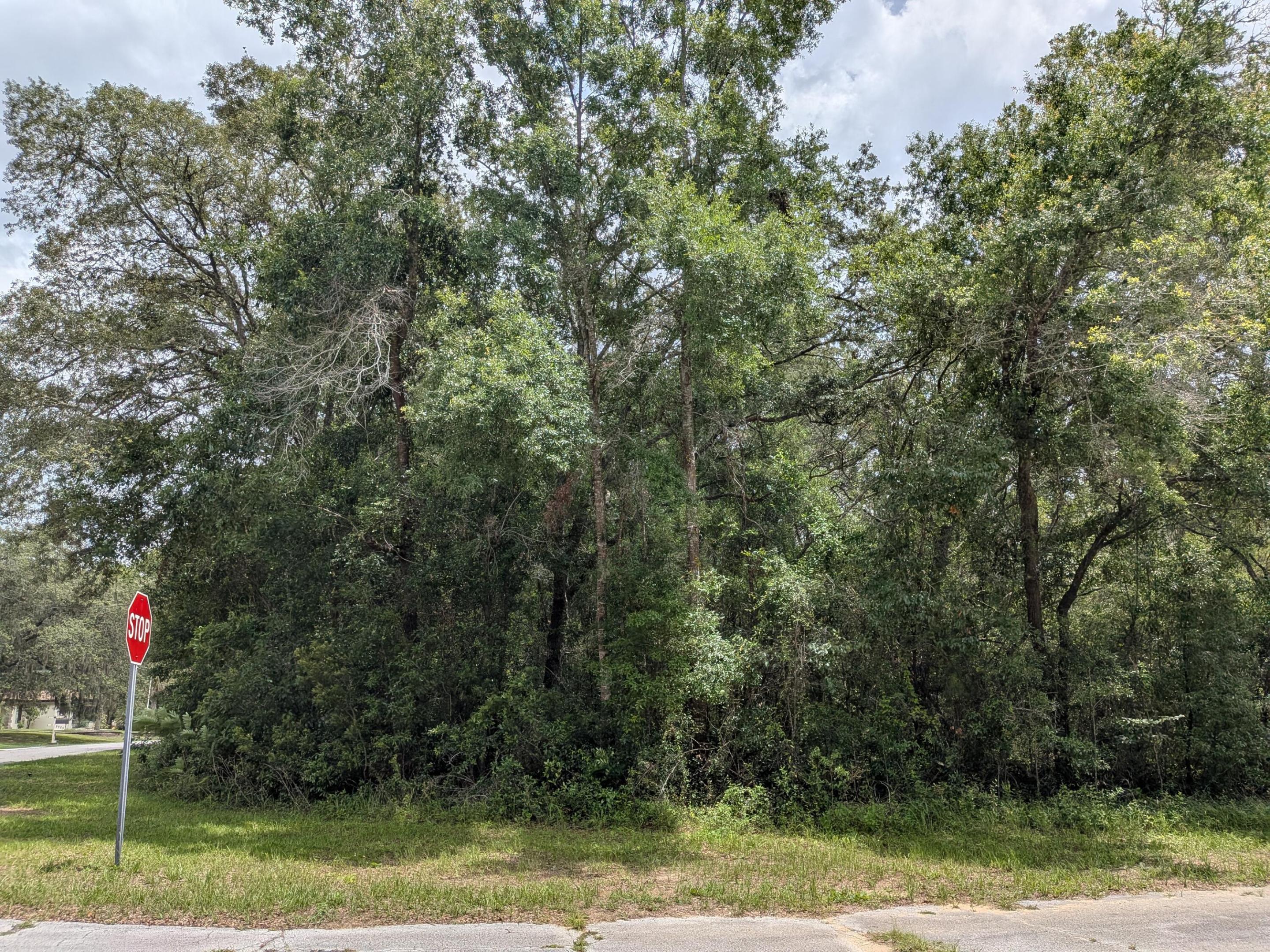8989 N Conch Terrace Property Photo 1
