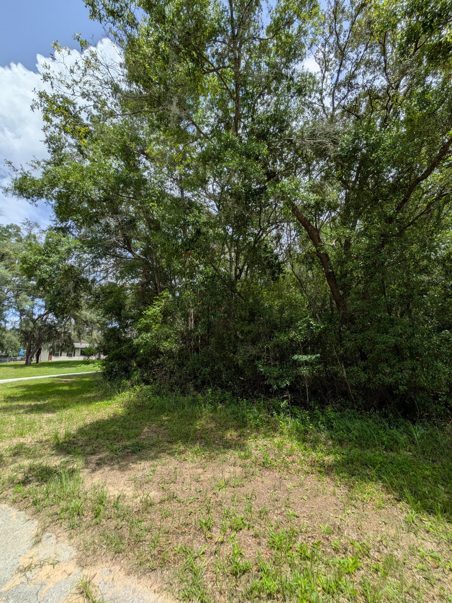 8989 N Conch Terrace Property Photo 2