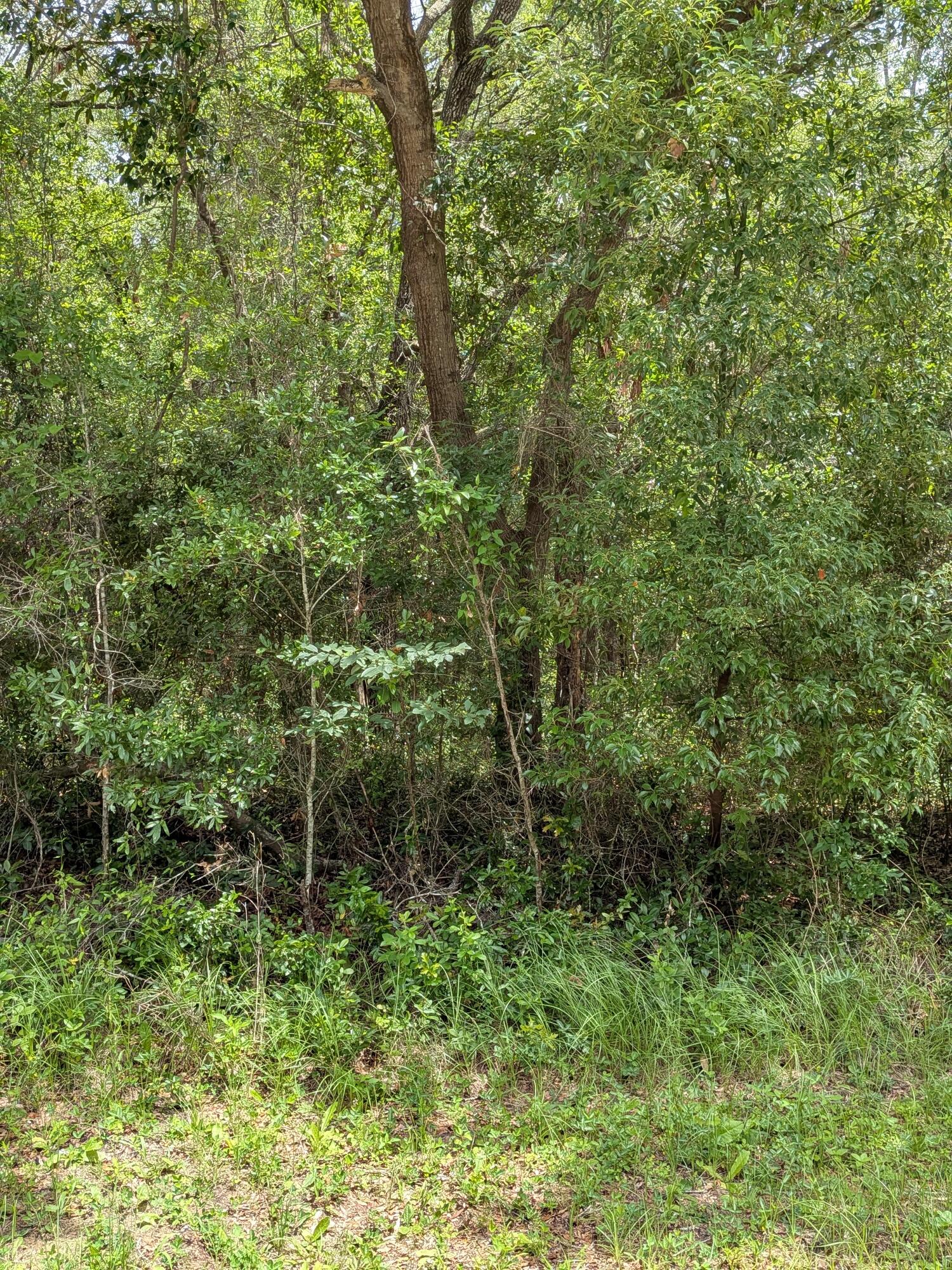 8989 N Conch Terrace Property Photo 3