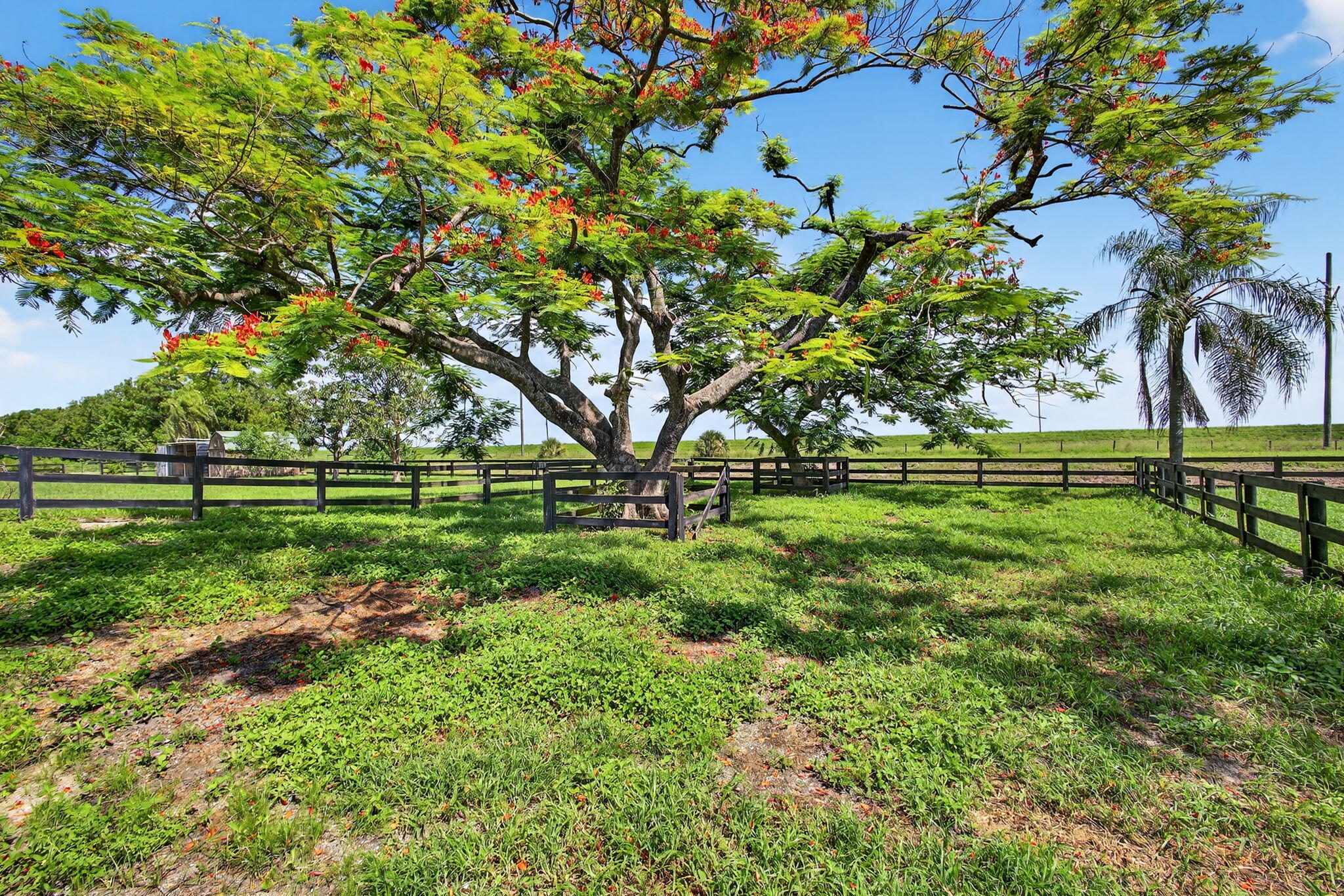 16229 Rustic Rd Road Property Photo 59