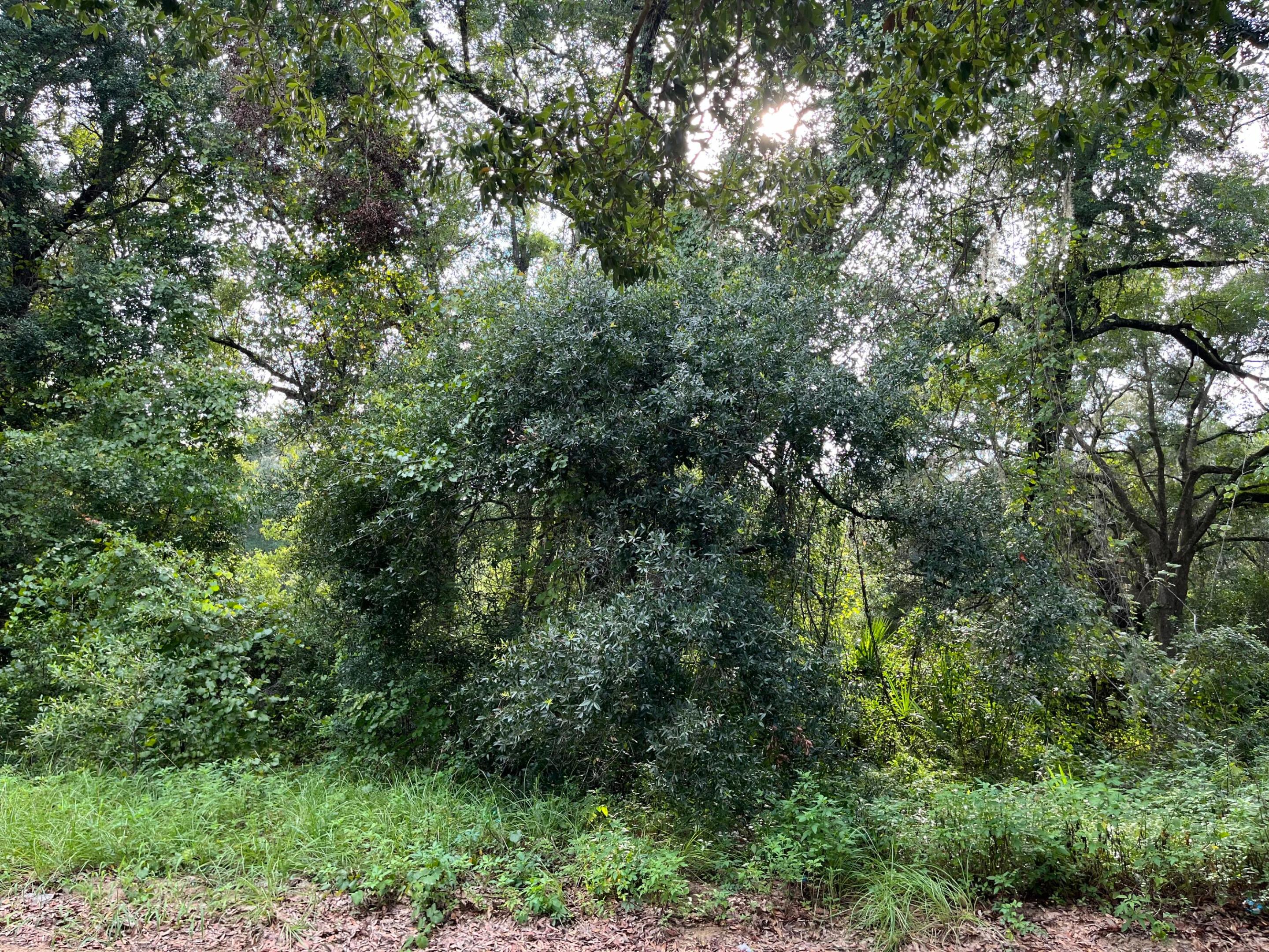 305 Milton Avenue Property Photo 7