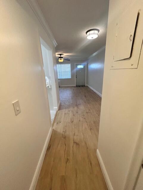 336 Northampton Q Property Photo 11